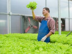 Sustainable business practices