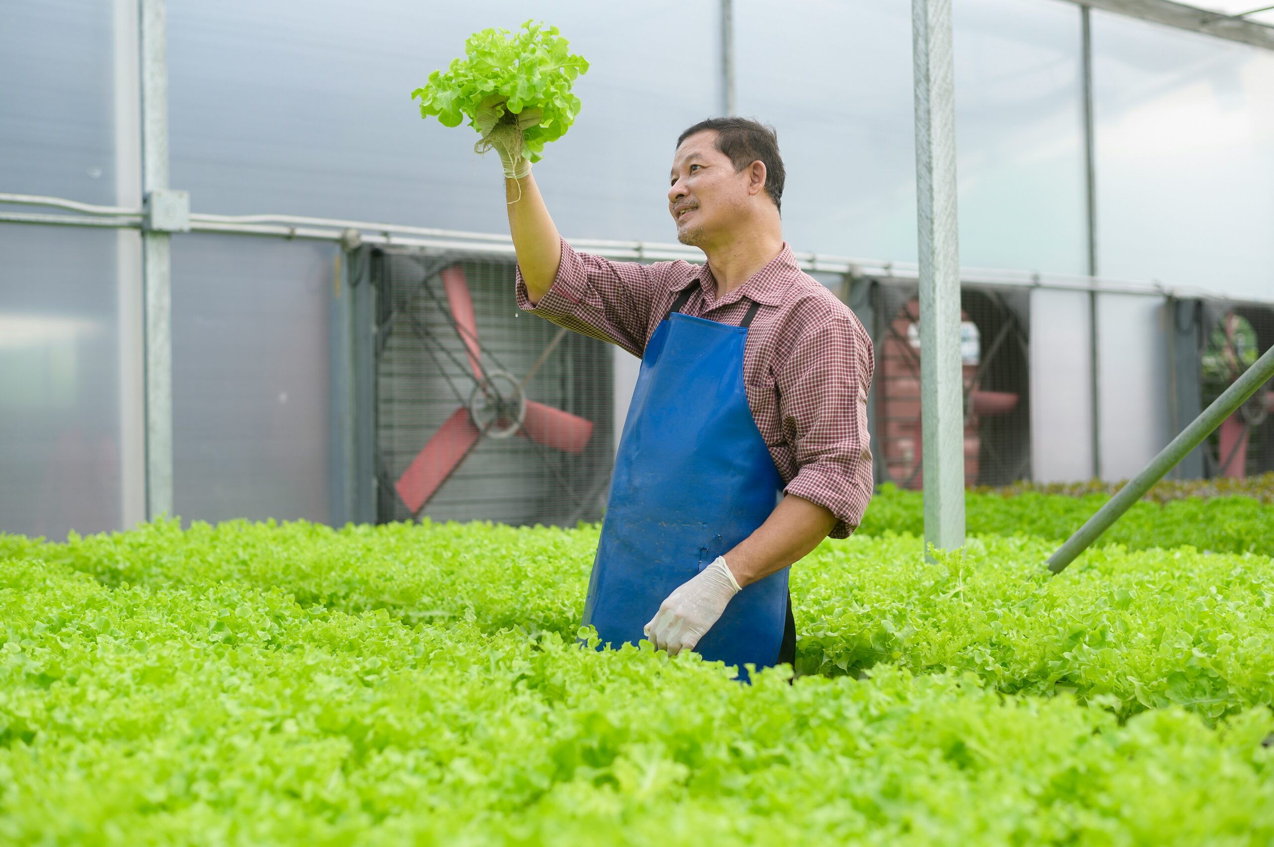 Sustainable business practices